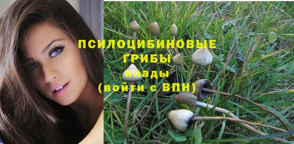 2c-b Няндома