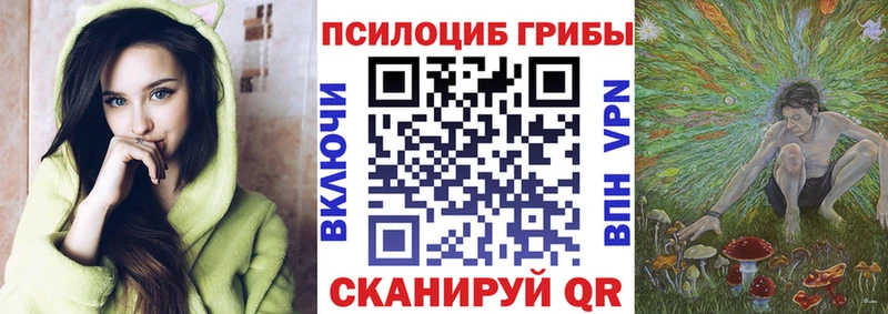 дарнет шоп  Кимры  Галлюциногенные грибы Magic Shrooms 