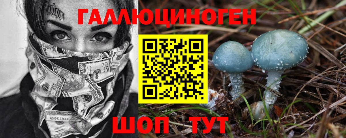 Кимры  Псилоцибиновые грибы Psilocybine cubensis  купить  цена  Вход с VPN 